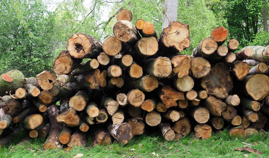 Brennholz bei Kisters
